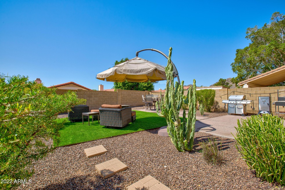 Spacious Backyard