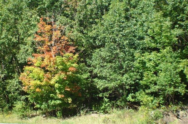 0 Scott Ln unit 4442436, Dover, NY 12594 - photo 1