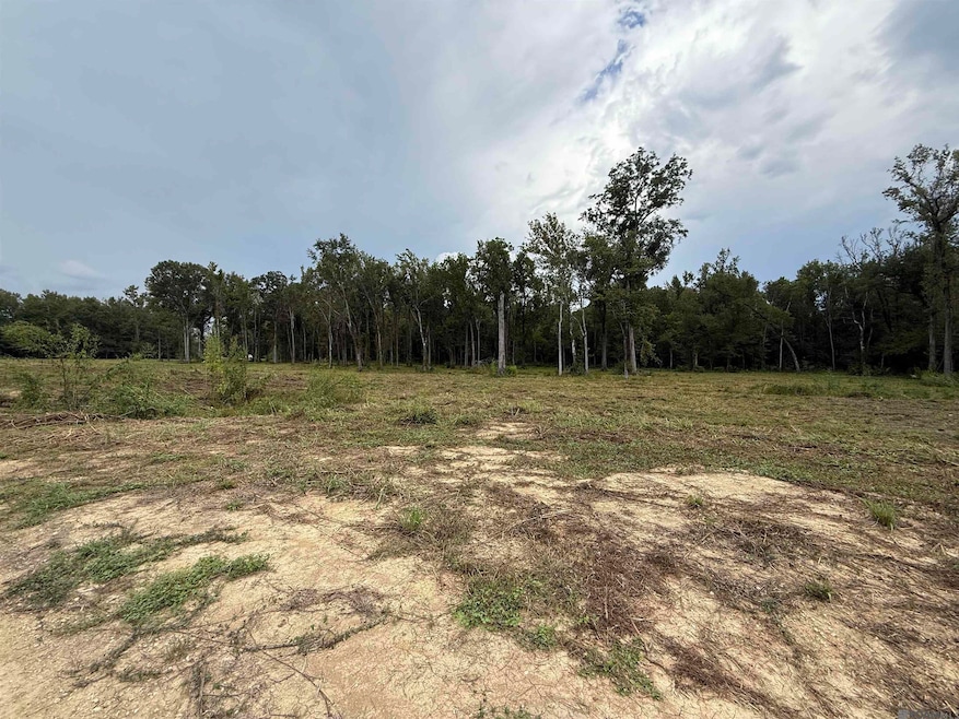 6-Z-1-D Pertuis Rd, Saint Amant, LA 70774 - photo 1