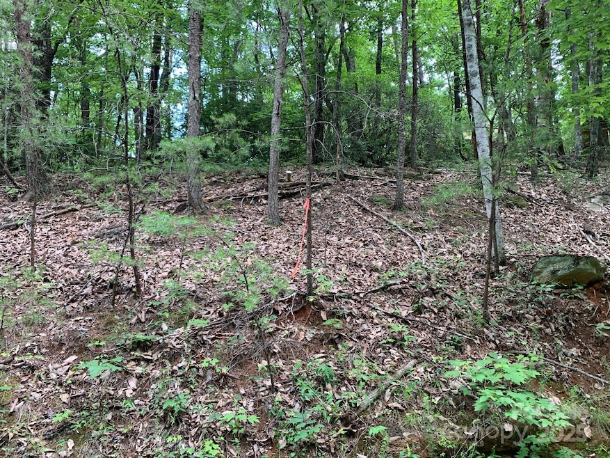 0 Roundabout Rd unit 35 CAR4252951, Lake Lure, NC 28746 - photo 1