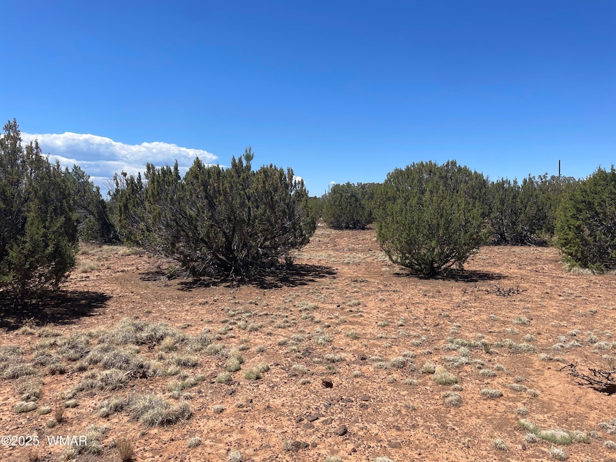 108 Colorado Ave, Concho, AZ 85924 - photo 1