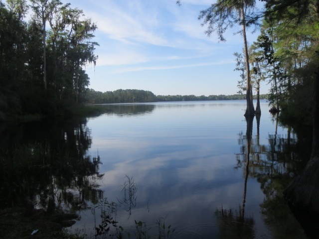 xx Frank Jones Rd unit III, Crawfordville, FL 32327 - photo 1