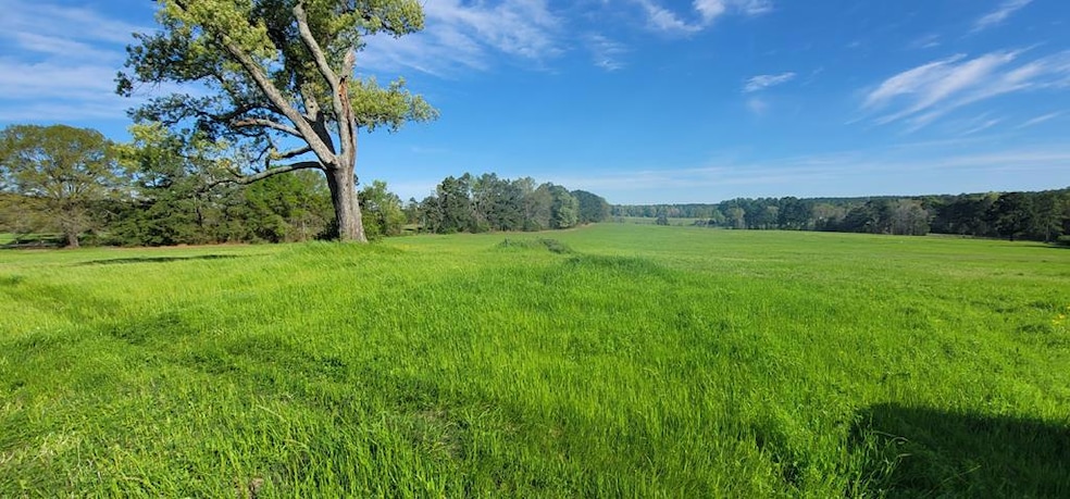50.18 Acres Fm 2782, Nacogdoches, TX 75964 - photo 1