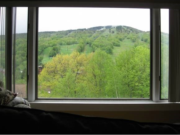 Meadows C Snowtree unit C, Dover, VT 05356 - photo 1