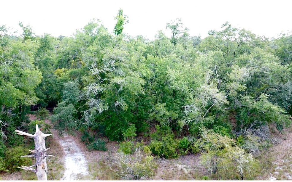 TBD Suw Park Lots 18-22, Live Oak, FL 32060 - photo 1