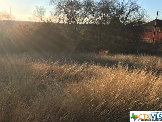 1505 Alan Arbor Ln, Copperas Cove, TX 76522 - photo 1