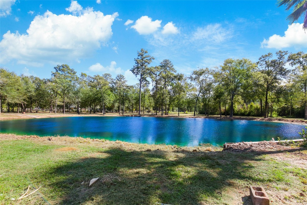 30815 Collier Smith Rd, Magnolia, TX 77354 - photo 1