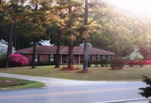 Main View