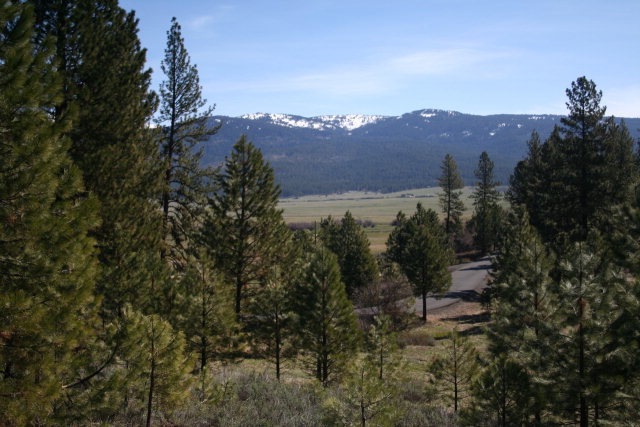Main View