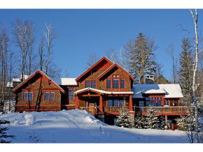 1199 Okemo Ridge Rd, Ludlow, VT 05149 - photo 1
