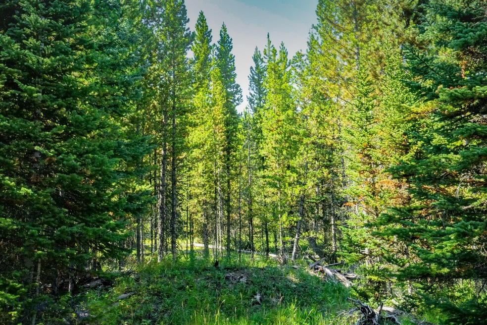 Lot 13 Eagle View Trail, Big Sky, MT 59716 - photo 1
