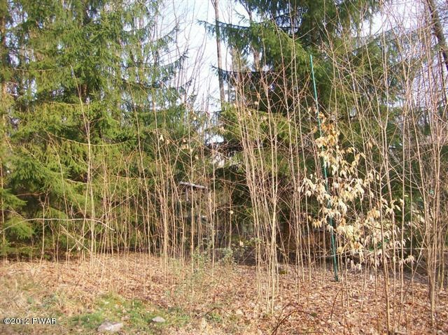 0 Hemlock St, Honesdale, PA 18431 - photo 1