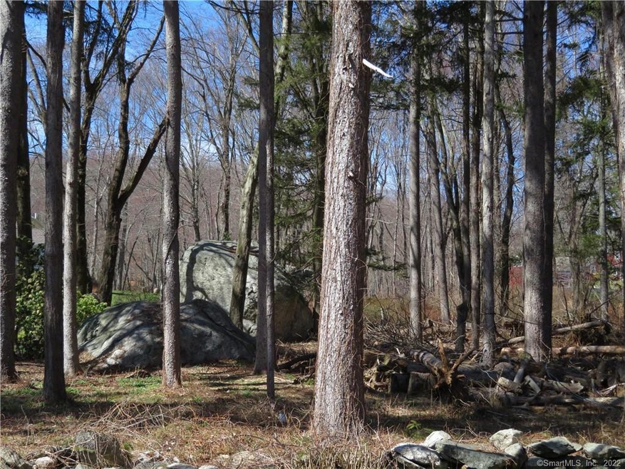 74 Godfrey Rd W, Weston, CT 06883 - photo 1