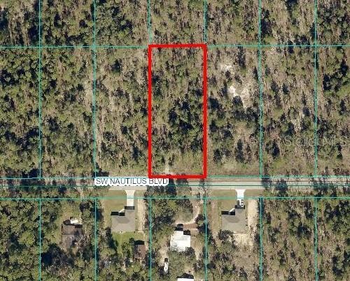 000 SW Nautilus Blvd, Dunnellon, FL 34431 - photo 1