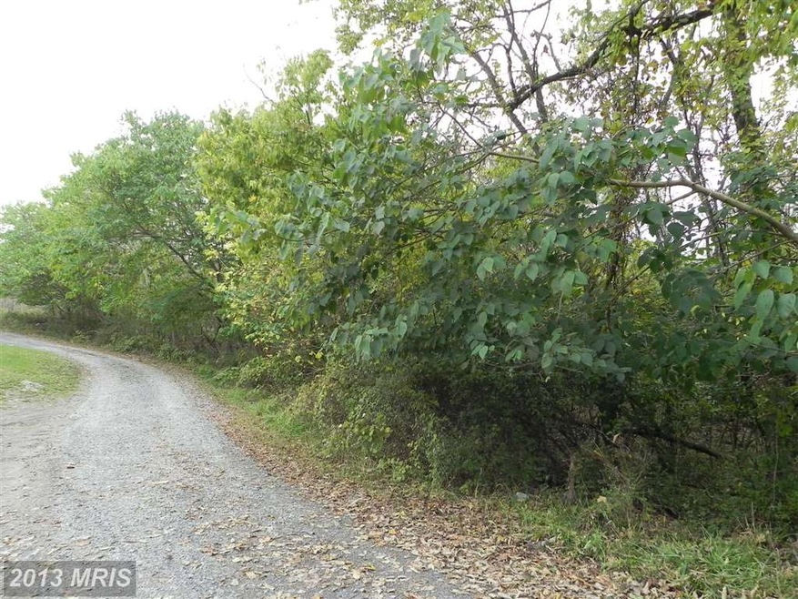 0 Jamestown Rd unit 1003748948, Summit Point, WV 25446 - photo 1