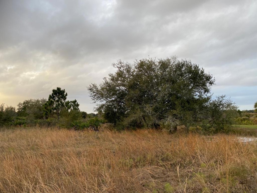 0 314th St NW unit F10498706, Okeechobee, FL 34972 - photo 1