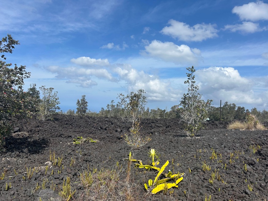 Imagine waking up to ocean and coastline views!