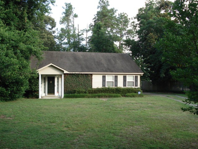 Main View
