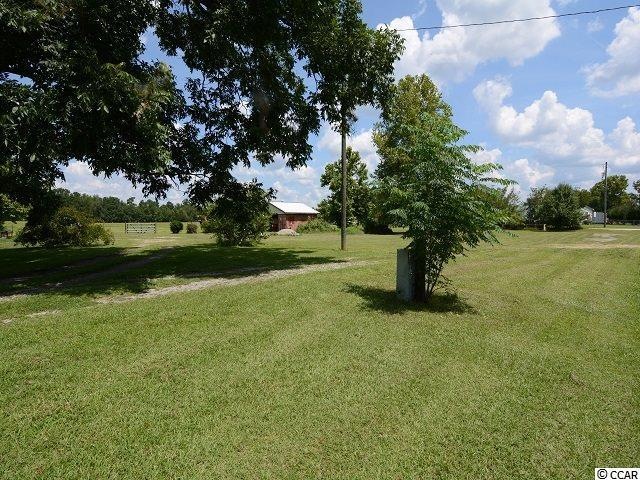 3655 Highway 19, Conway, SC 29526 - photo 1