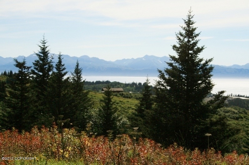View to Eldredge Passage