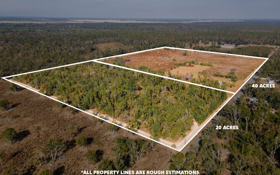 7091 River Rd, Live Oak, FL 32060 - photo 1