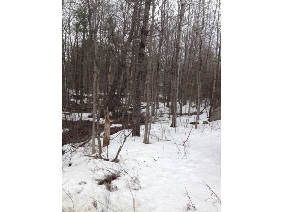00 Blueberry Hill Rd, Meredith, NH 03253 - photo 1