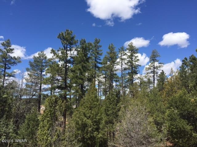 4650 S Manzanita Way, Show Low, AZ 85901 - photo 1