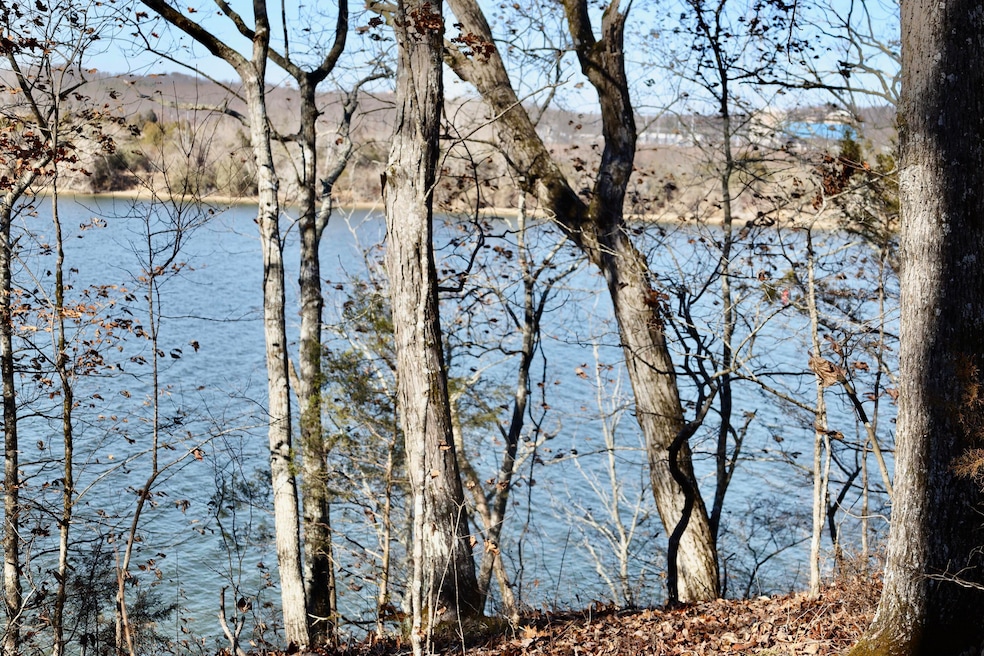 0 River Rd unit 1506329, Decatur, TN 37322 - photo 1