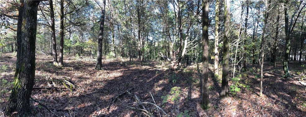 0 Sulphur City & Stokenbury Rd unit 1131158, Elkins, AR 72727 - photo 1