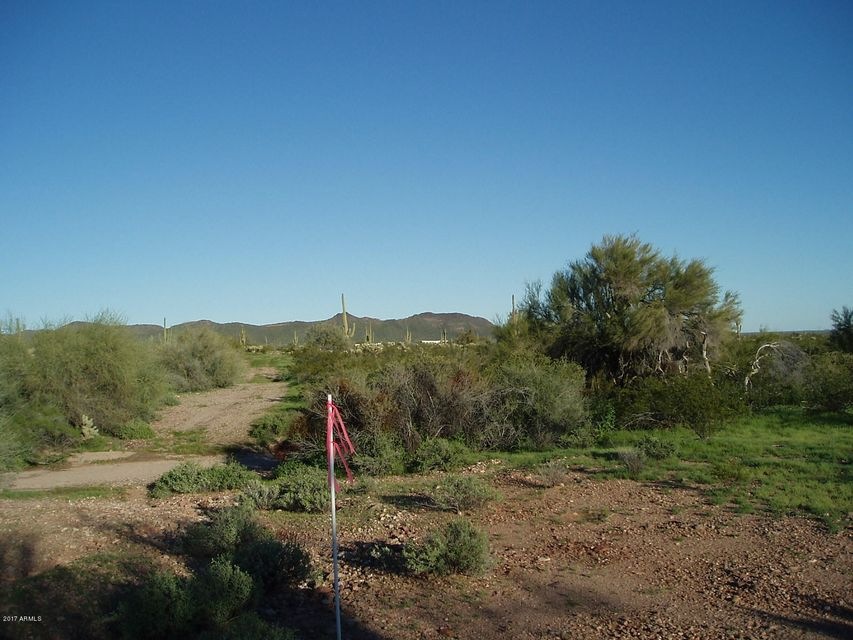 P3010015