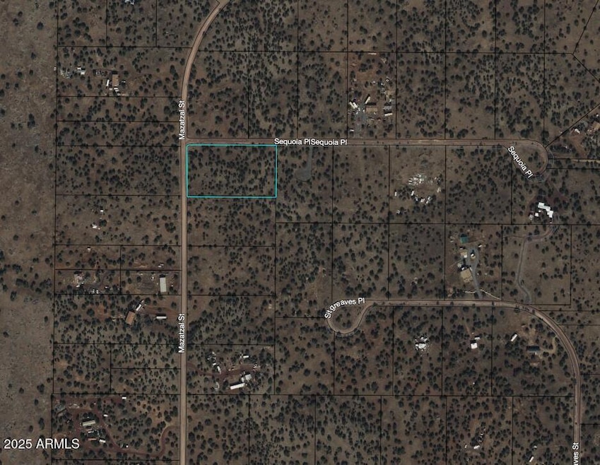 Screen Shot 2025-10-24 at 12.43.24 PM