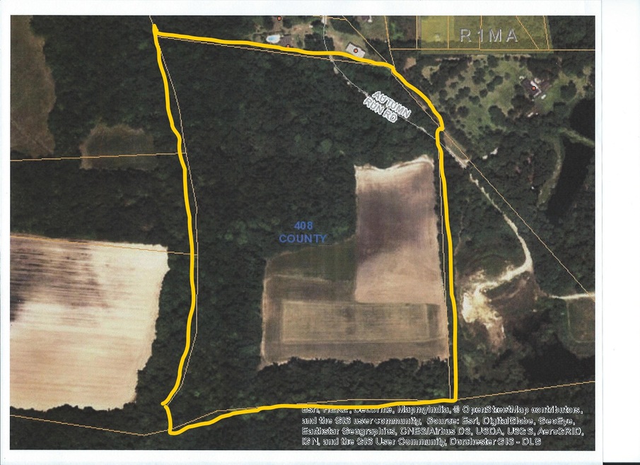 Aerial Plat view
