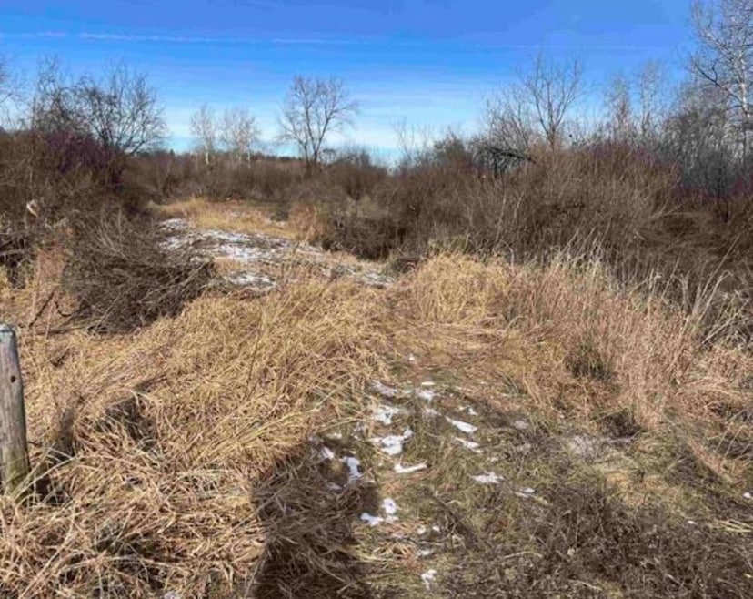 000 Grapevine Ave, Tomah, WI 54660 - photo 1