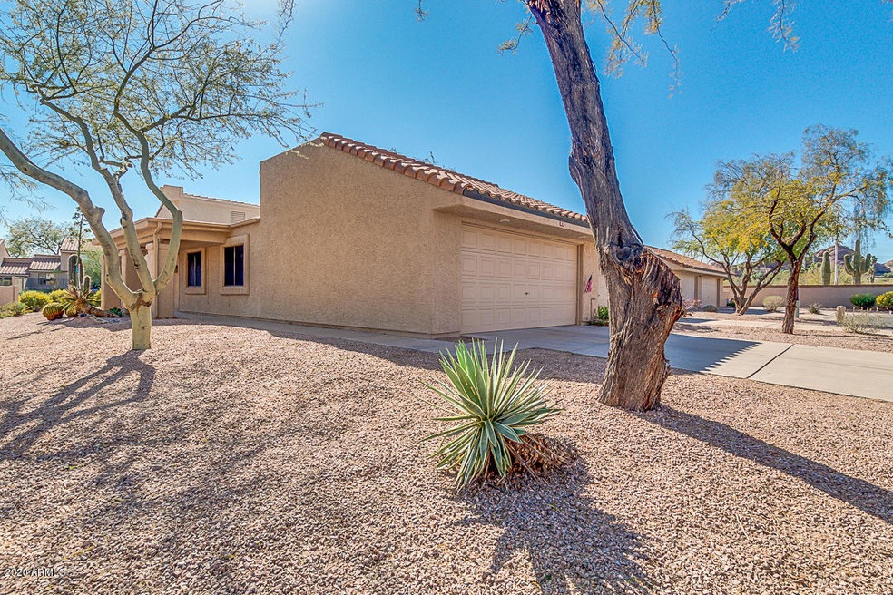 Large Lot - 1 Neighbor