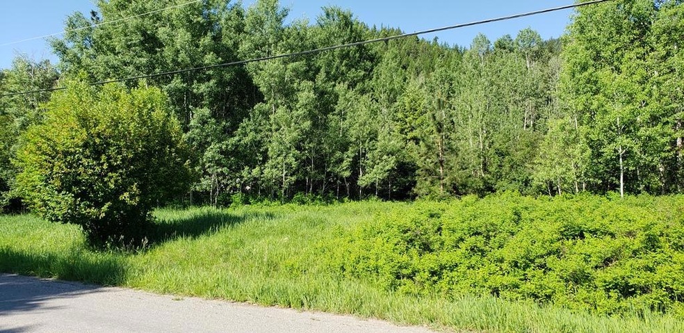 Nhn Pioneer Rd, Libby, MT 59923 - photo 1