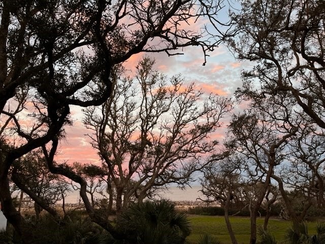 Morning view from patio