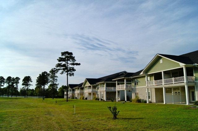 Main View