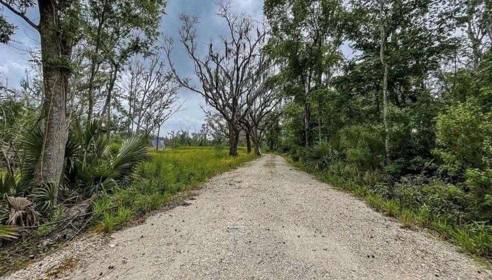 1309 Jean Lafitte Blvd, Lafitte, LA 70067 - photo 1