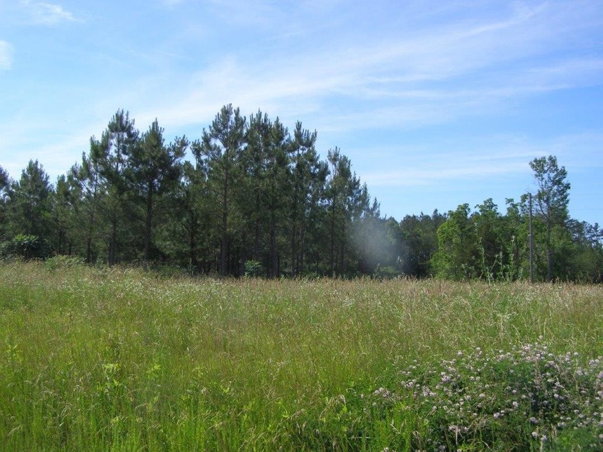 0 Thomas Springs Rd unit RTC2954745, Crossville, TN 38572 - photo 1