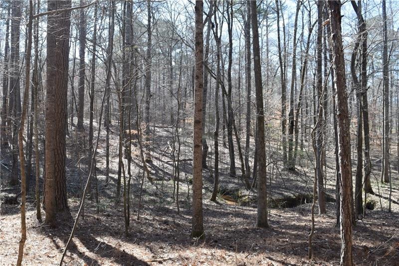 0 Rice Dr, Auburn, GA 30011 - photo 1