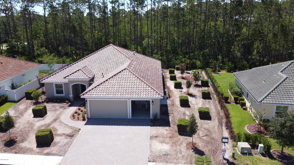 Aeriel View