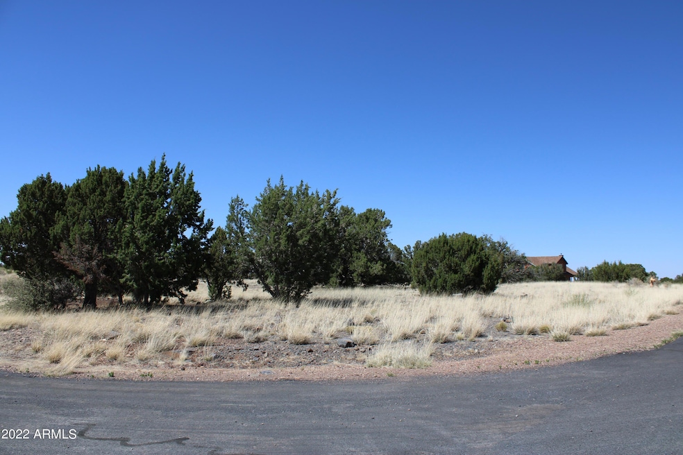 Lot 55 (2)