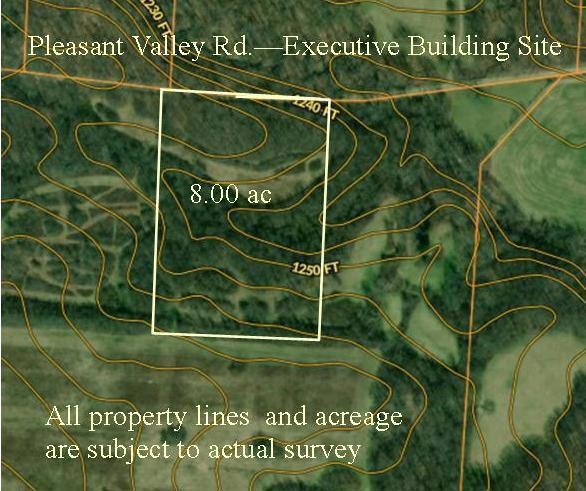 8 ac lot-aerial w property lines-071020