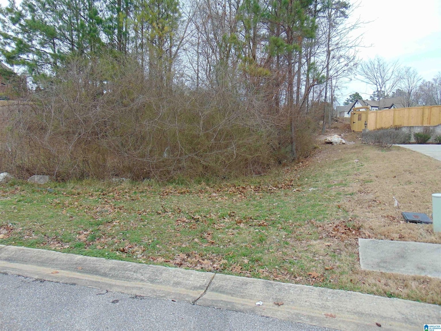 1215 Grande View Ln, Alabaster, AL 35114 - photo 1