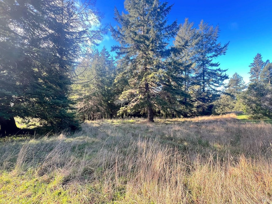 38065 Foothill Close, Sea Ranch, CA 95480 - photo 1
