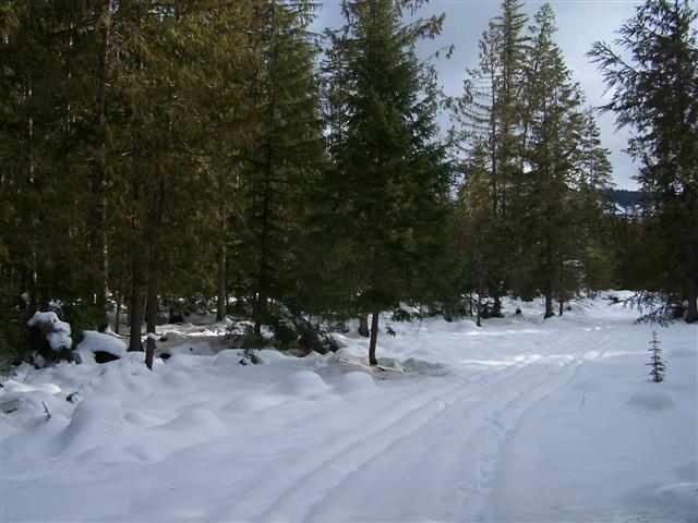 182 Shady Ln, Cusick, WA 99119 - photo 1