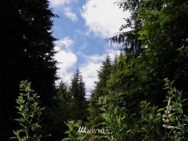 unlisted-address, Raymond, WA 98577 - photo 1