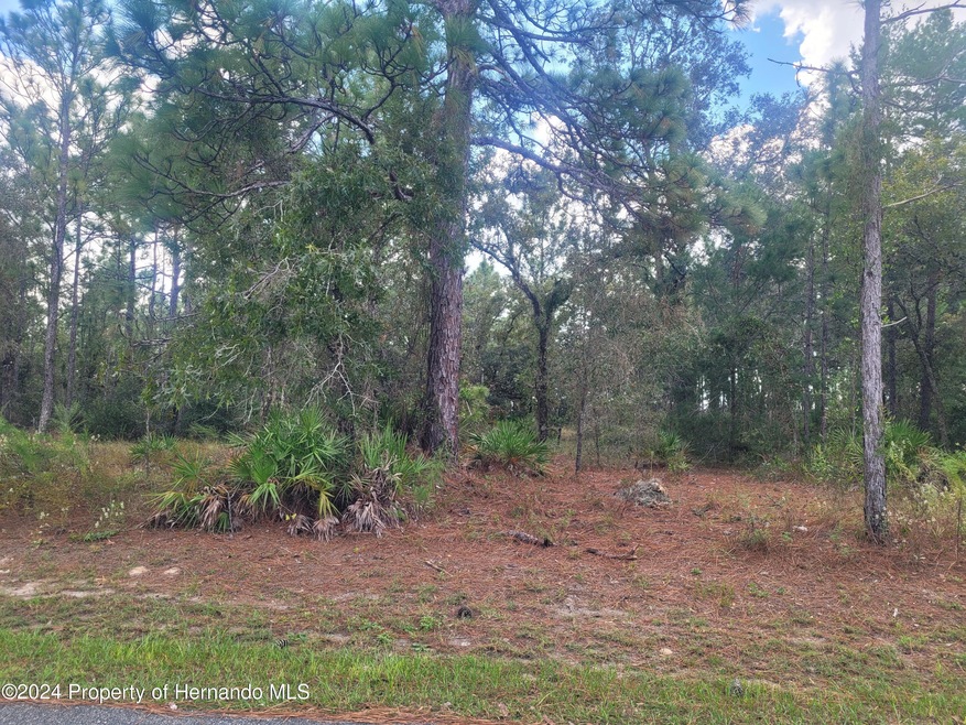 10298 Meadow Wren Ave, Weeki Wachee, FL 34613 - photo 1