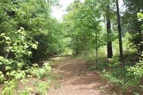 xx Sunset Ln, Wakulla, FL 32327 - photo 1