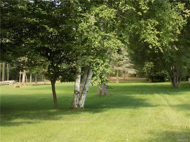 DSCN1035.JPG
